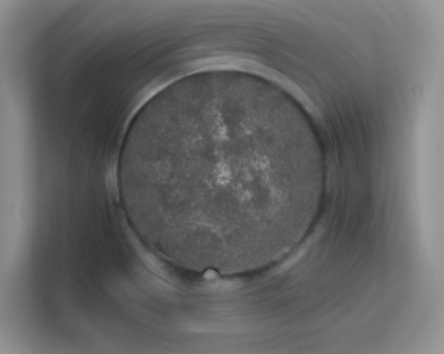 X0000113551513200909251027