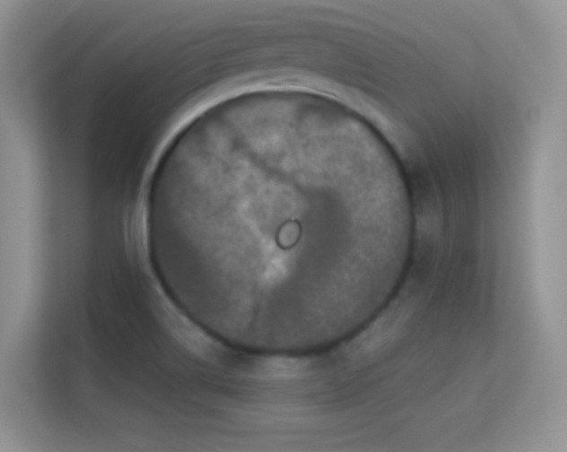 X0000113551514200909251027