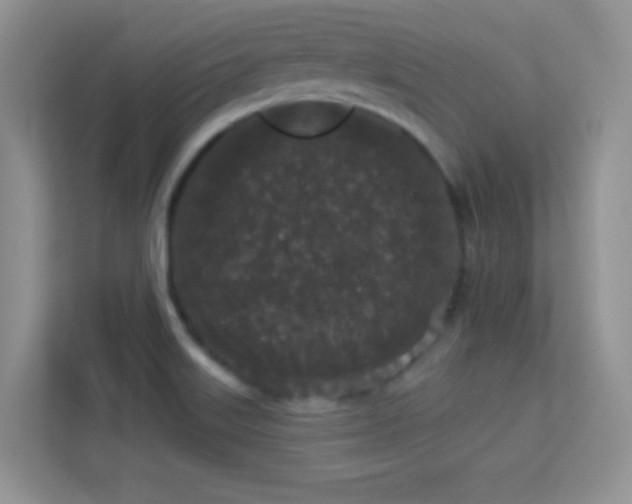 X0000113551515200909251027