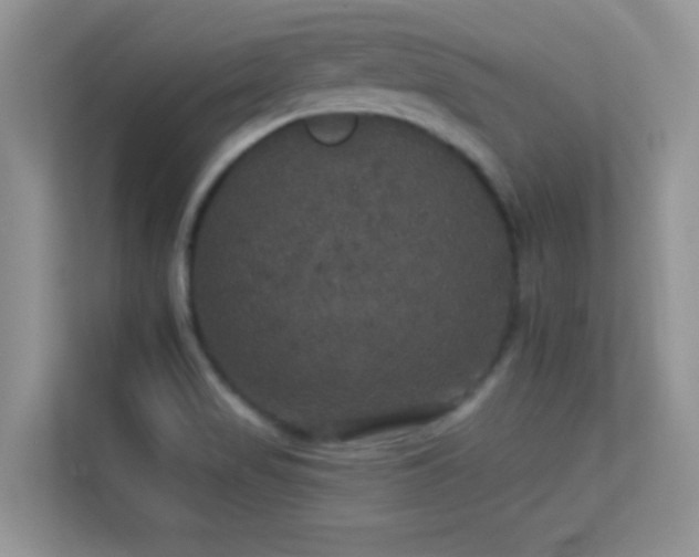 X0000113551517200909251027