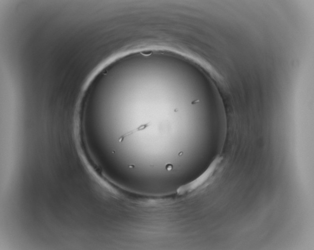 X0000113551518200909251027