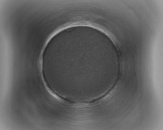 X0000113551519200909251027