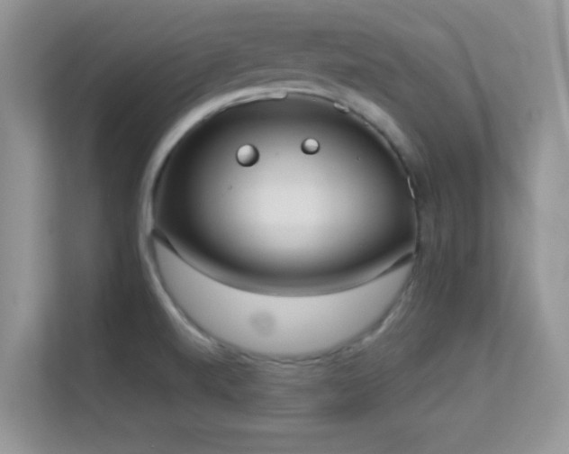 X0000113551520200909251027