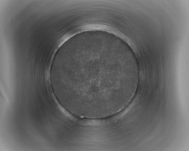 X0000113551521200909251027