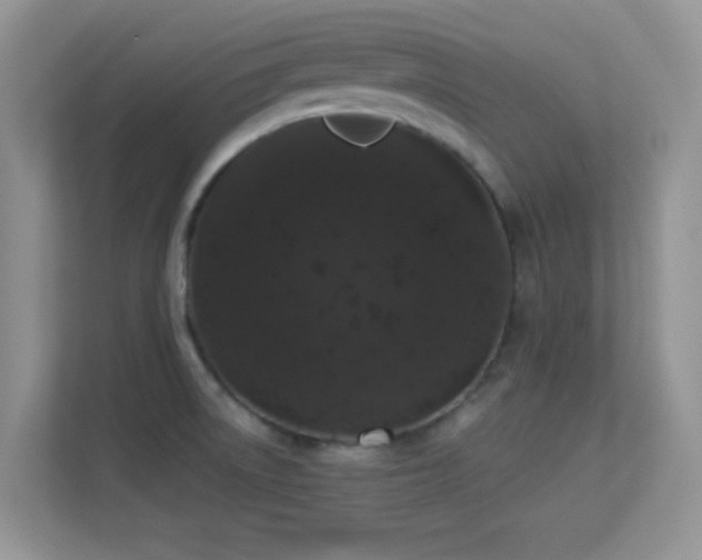 X0000113551522200909251027