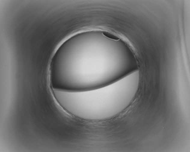 X0000113551524200909251027