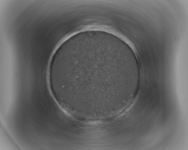 X0000113551525200909251027