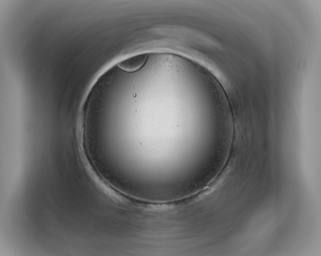 X0000113551526200909251027