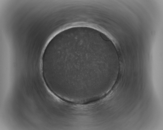 X0000113551527200909251027