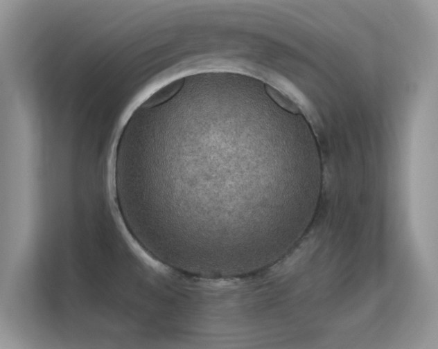 X0000113551528200909251028