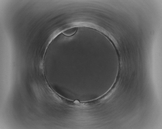 X0000113551529200909251028