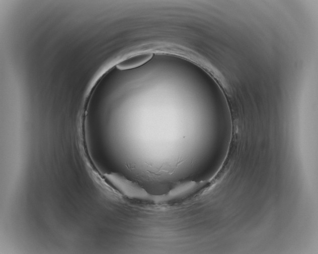 X0000113551530200909251028