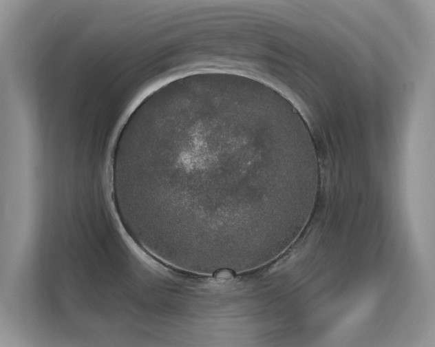 X0000113551531200909251028