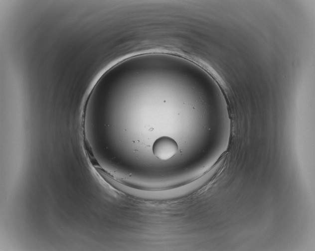 X0000113551532200909251028