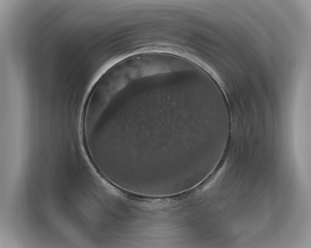 X0000113551533200909251028