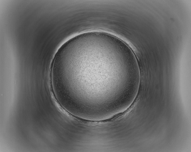 X0000113551534200909251028