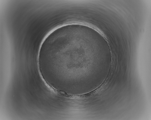 X0000113551536200909251028