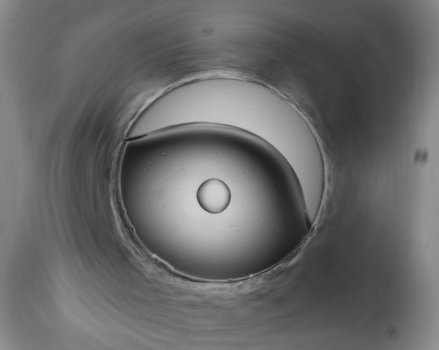 X0000113550001200910021541