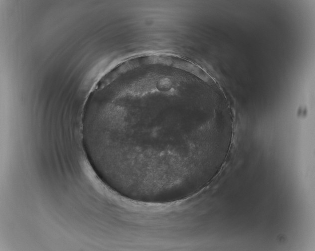 X0000113550002200910021541