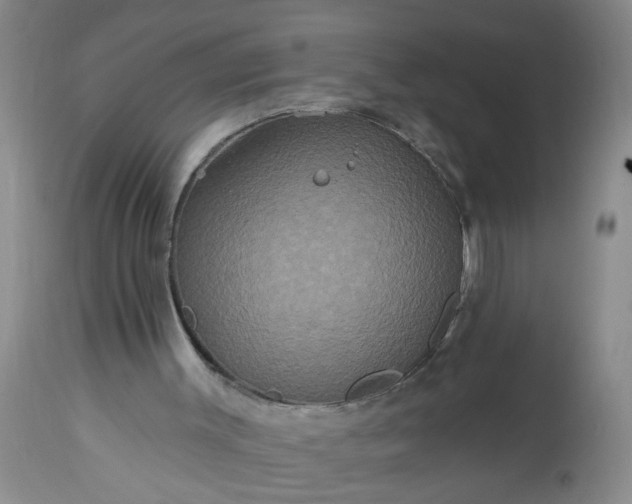 X0000113550003200910021541