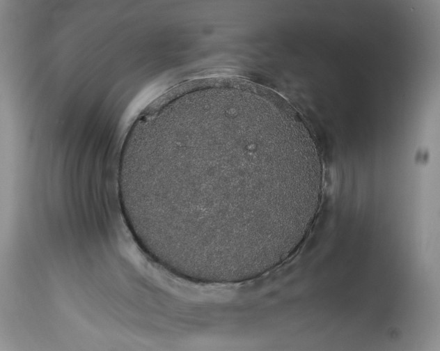 X0000113550004200910021541