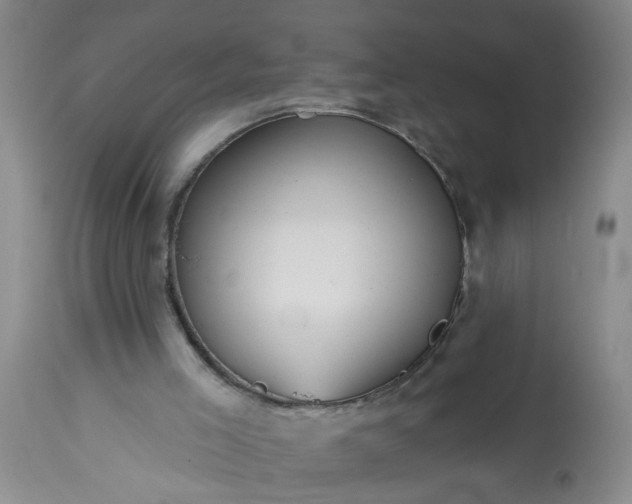 X0000113550005200910021541