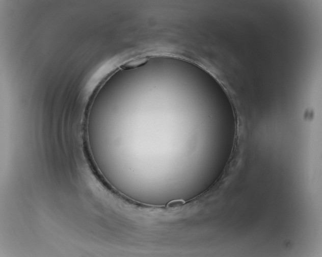 X0000113550007200910021541