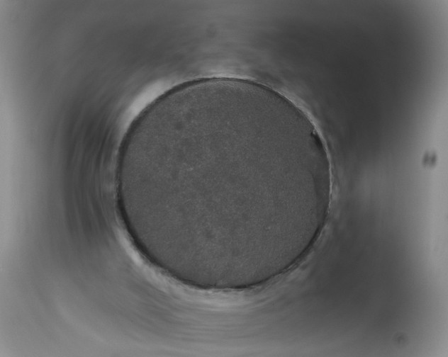 X0000113550008200910021541