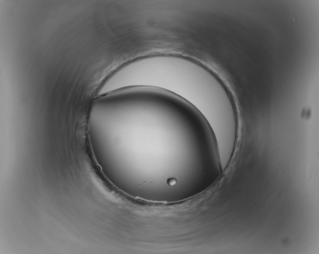 X0000113550009200910021541