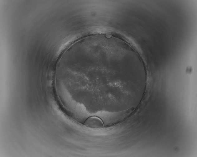 X0000113550010200910021541