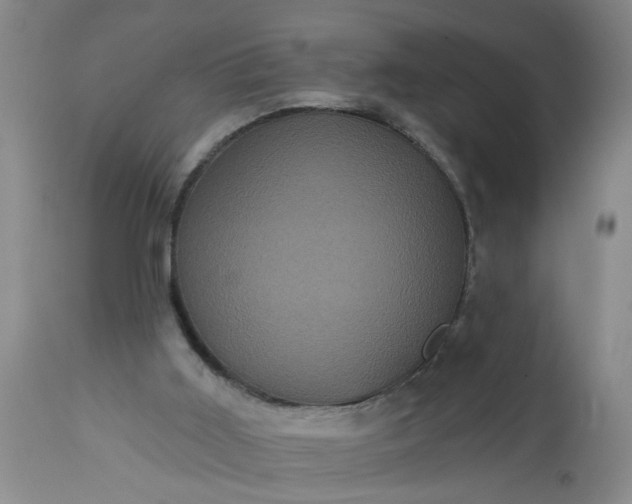 X0000113550011200910021541