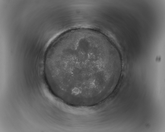 X0000113550012200910021541