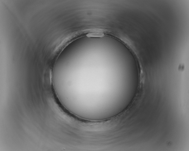 X0000113550013200910021541