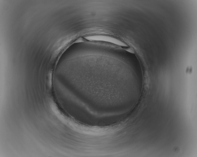 X0000113550014200910021541