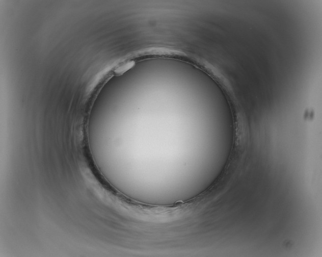 X0000113550015200910021541