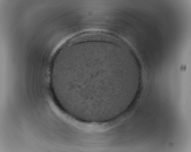 X0000113550016200910021541