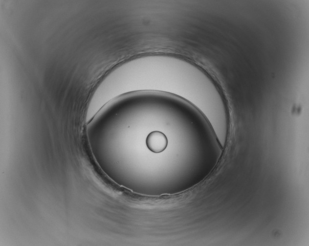 X0000113550017200910021541