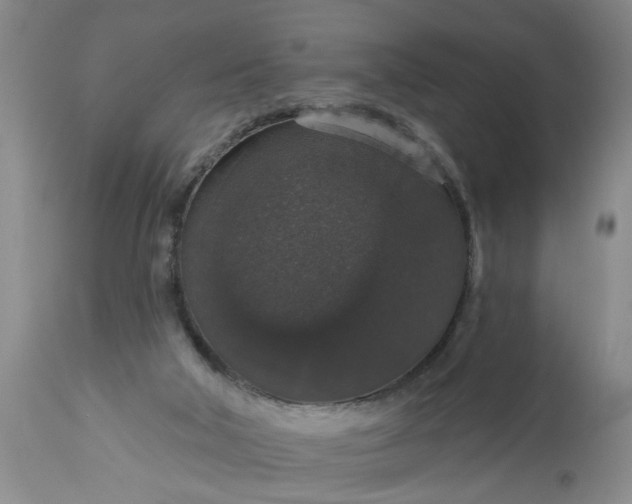 X0000113550018200910021541