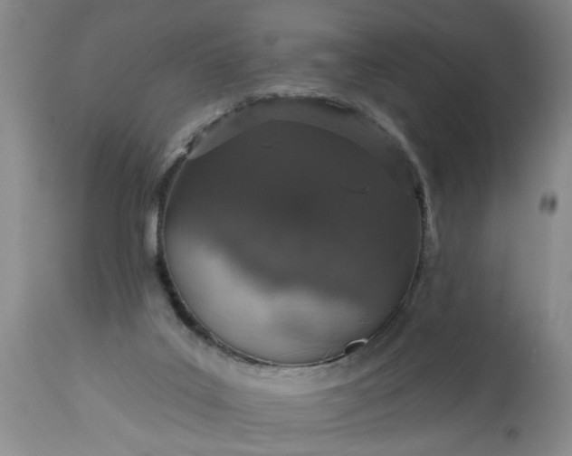 X0000113550019200910021541