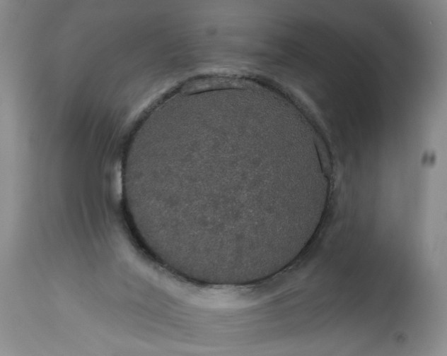 X0000113550020200910021541