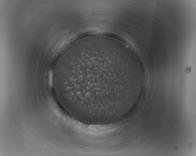 X0000113550022200910021541