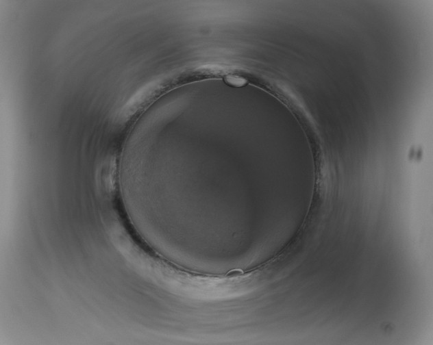 X0000113550023200910021541