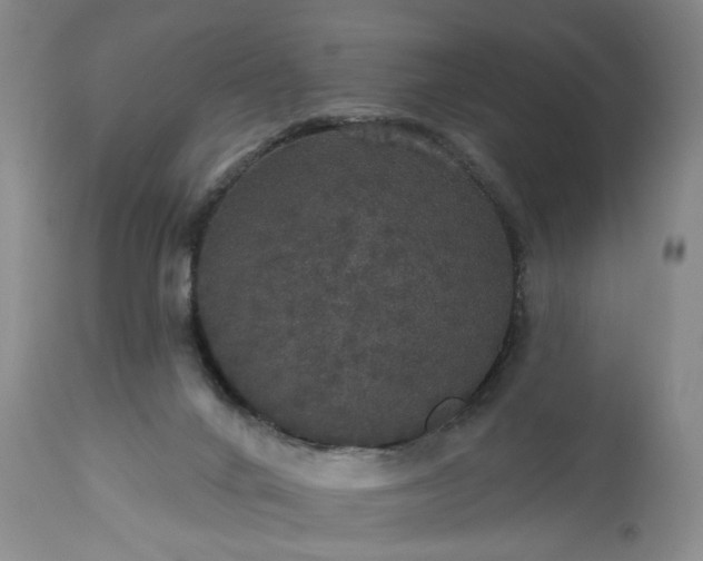 X0000113550024200910021541