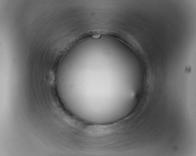 X0000113550025200910021541