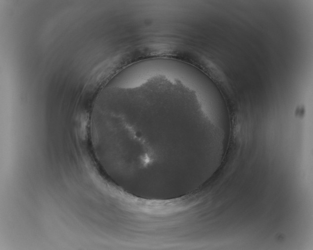 X0000113550026200910021541