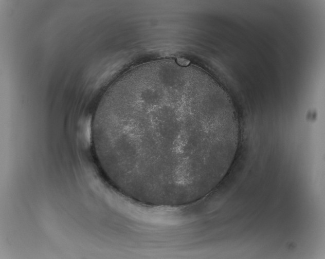 X0000113550028200910021541