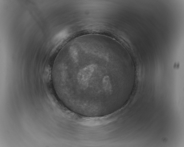 X0000113550029200910021541