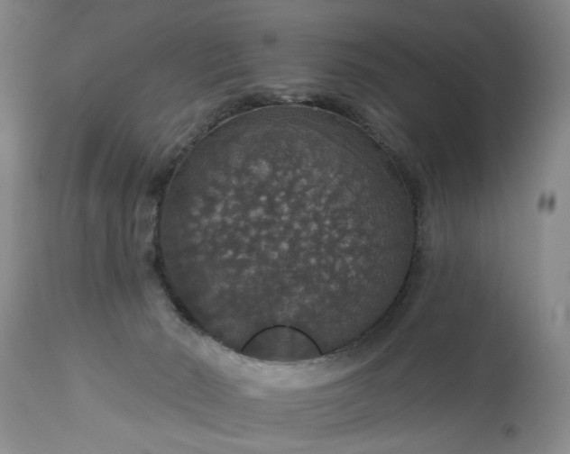 X0000113550030200910021541