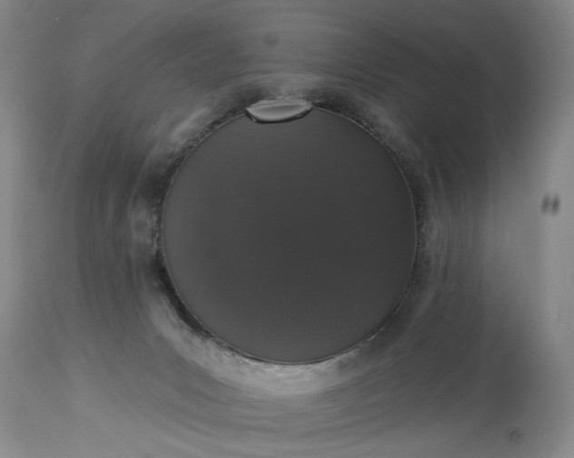 X0000113550031200910021541