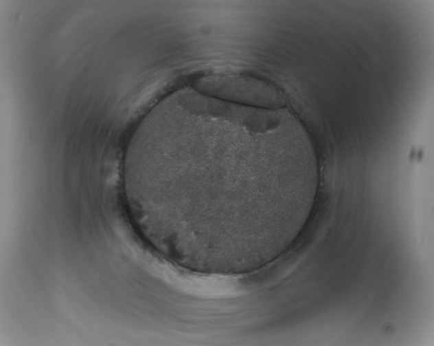 X0000113550032200910021541